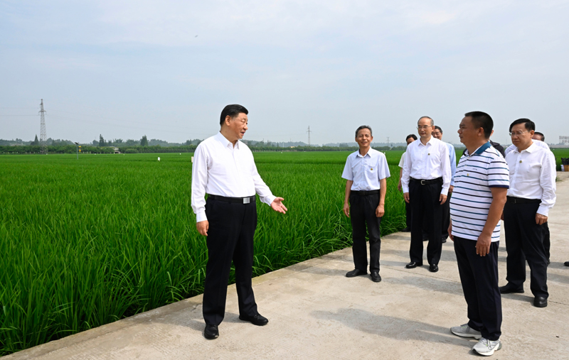 谁来养活中国？习近平这些话掷地有声